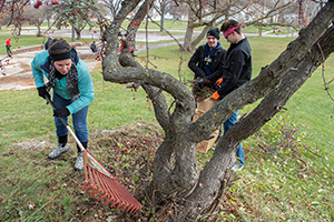 Battle of the Valleys Cleanup